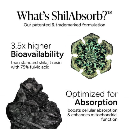 ROOT LABS 10-in-1 Alpha Shilajit Gummies | 4000 mg Pure Himalayan Shilajit with Tongkat Ali & Maca Root | Shilajit for Men & Women | ShilAbsorb Bioavailability Tech | Sugar-Free, Vegan | 60 Gummies