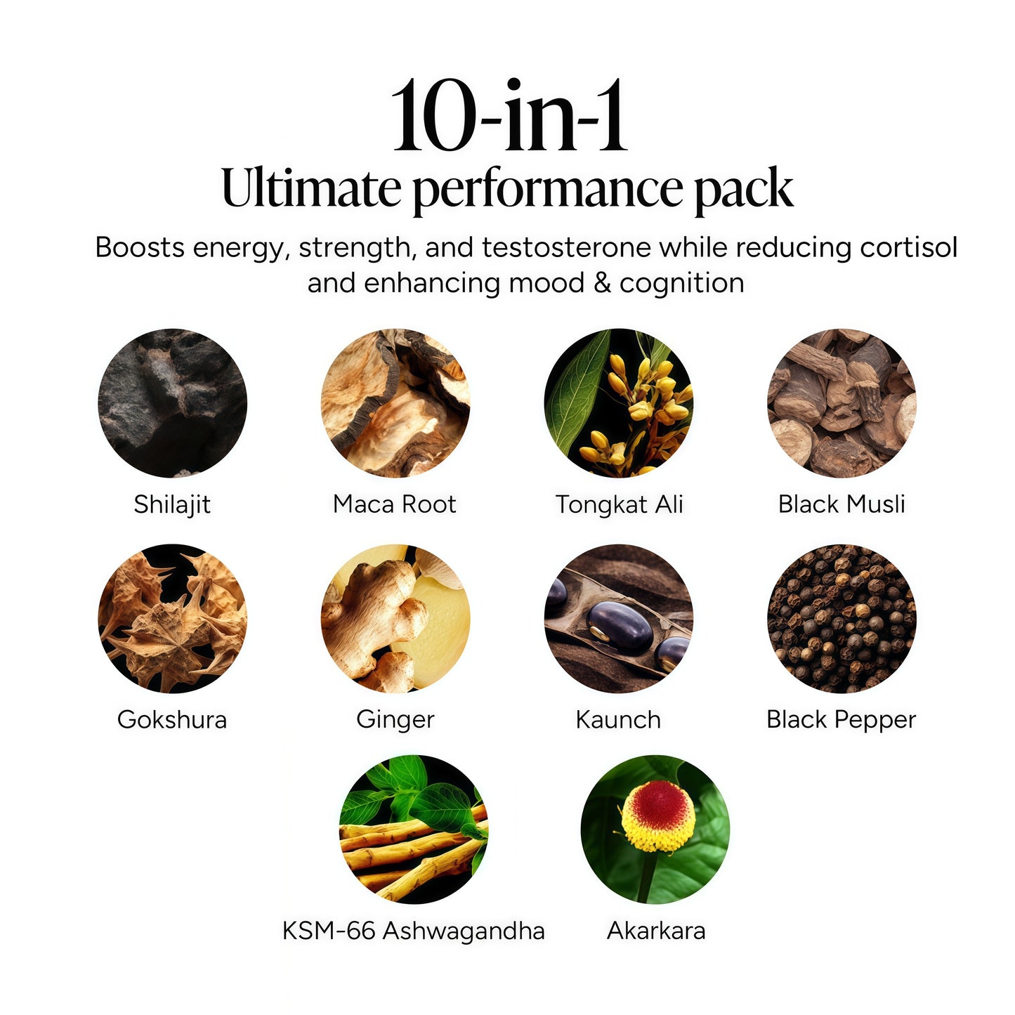 ROOT LABS 10-in-1 Alpha Shilajit Gummies | 4000 mg Pure Himalayan Shilajit with Tongkat Ali & Maca Root | Shilajit for Men & Women | ShilAbsorb Bioavailability Tech | Sugar-Free, Vegan | 60 Gummies